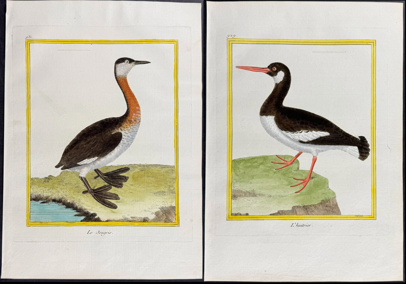 Martinet & Buffon - 6 Grebe & Oystercatcher Engravings (1 of 7)