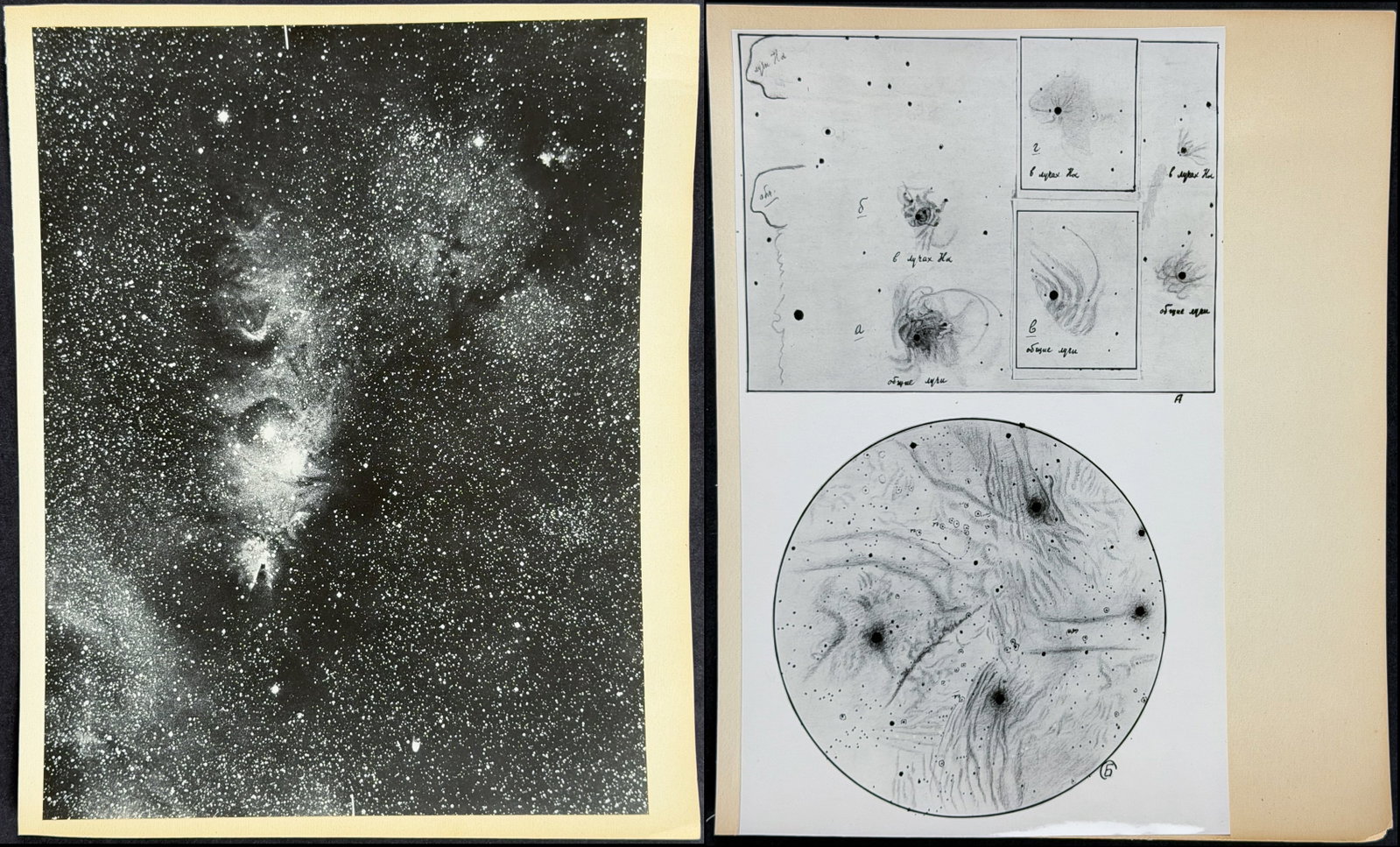 Fessenkov & Rozhovsky - 3 Gasous Dust Nebulae Photographs: Included in this lot: Gasous Dust Nebulae Photograph [Gas nebula NGC 2264] Gasous Dust Nebulae Photograph [Nebulae in the vicinity of the "Horsehead" near constellation Orion, The central part of the 