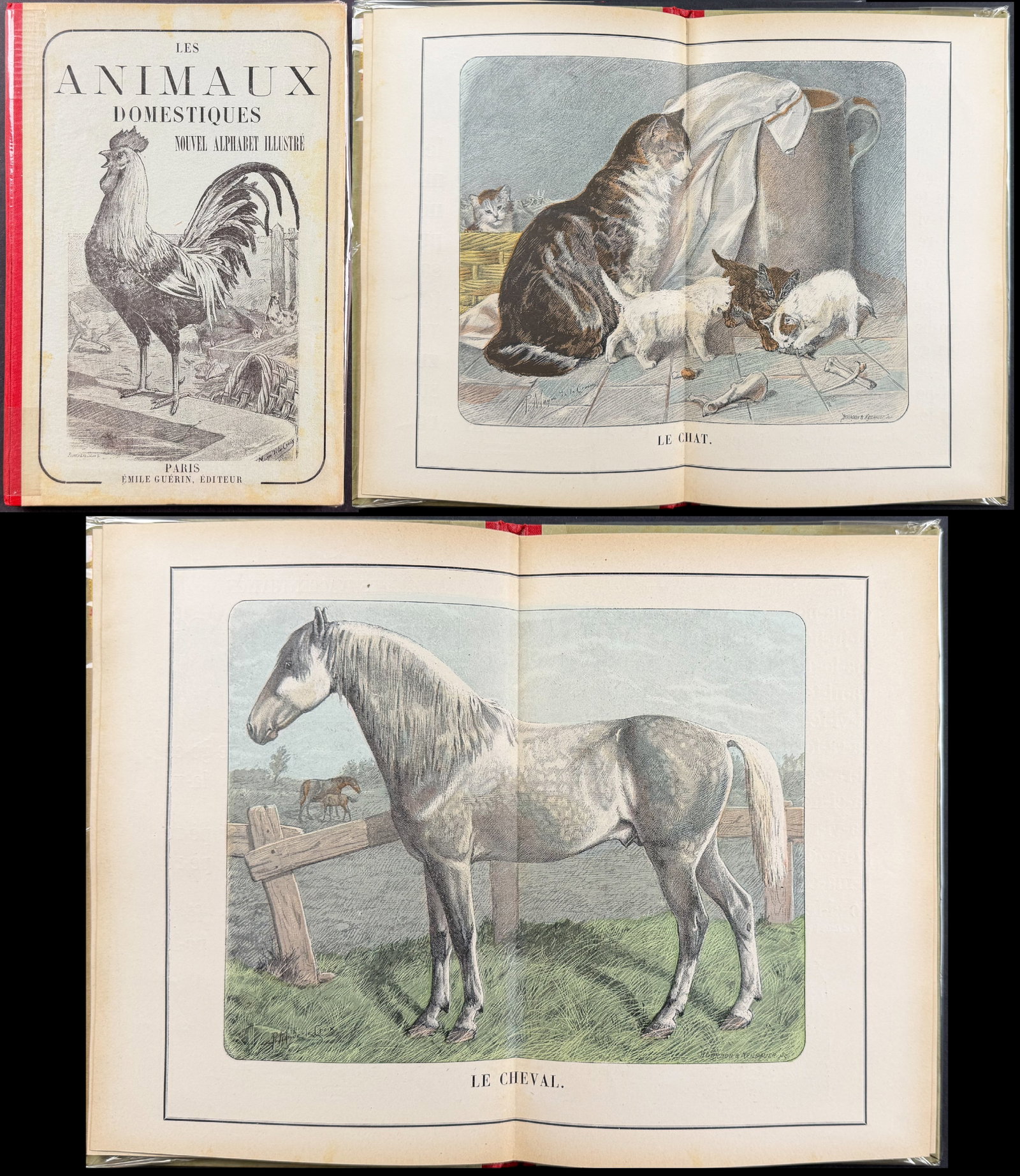Guerin Les Animaux Domestiques: Nouvel Alphabet Illustre - Volume 12 Color Wood Engravings + In-text: This charming book with 12 color wood engravings is Emile Guerin's Les Animaux Domestiques: Nouvel Alphabet Illustre. The work was published in Paris by Librairie de Theodore Lefevre et Cie. It is und