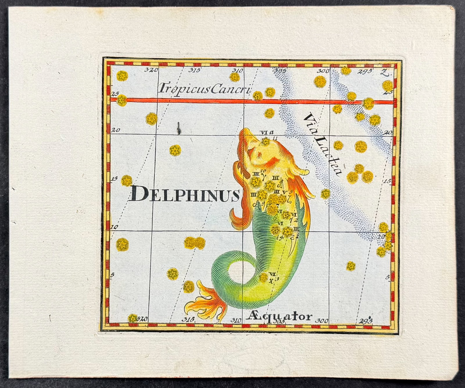 Thomas - Constellation or Celestial Chart of Delphinus (Dolphin): This celestial engraving is from Corbinian Thomas's Mercurii philosophici firmamentum Firmianum descriptionem et usum globi artificialis coelestis. The work was published in Augsburg in 1731 by Merz u