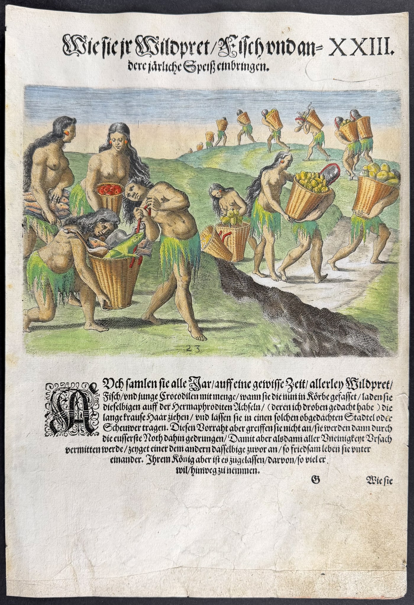 De Bry - Florida - Bringing the wild animals, fish and other stores: This significant, historic engraving is from Theodor de Bry & Jacques Le Moyne's Der ander Theyl de Newlich erfundenen Landtschafft Americae . . . in Floridam or Brevis Narratio eorum quae in florida 