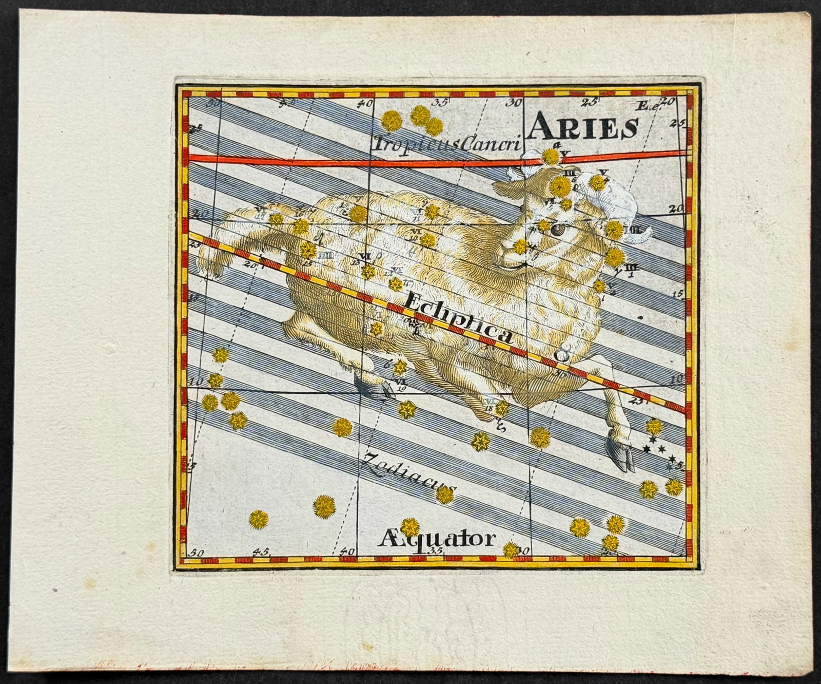 Thomas - Constellation or Celestial Chart of Aries (Ram): This celestial engraving is from Corbinian Thomas's Mercurii philosophici firmamentum Firmianum descriptionem et usum globi artificialis coelestis. The work was published in Augsburg in 1731 by Merz u