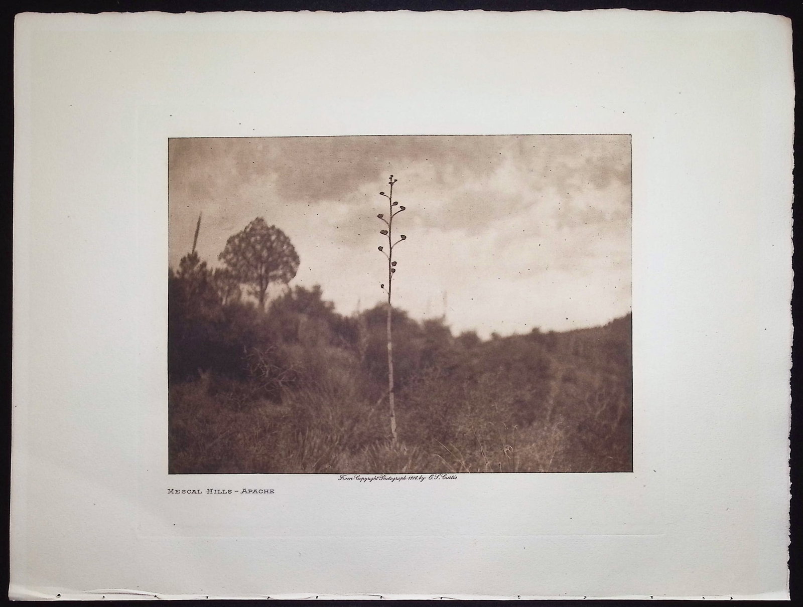 Edward Curtis - Mescal Hills - Apache - 2