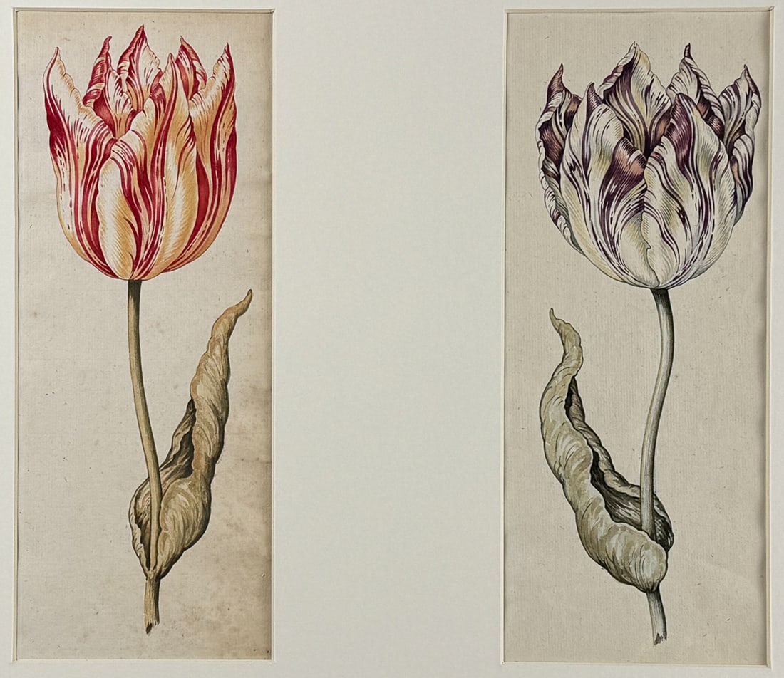 Claesz - Pair of Original Watercolors of Tulips (1 of 3)