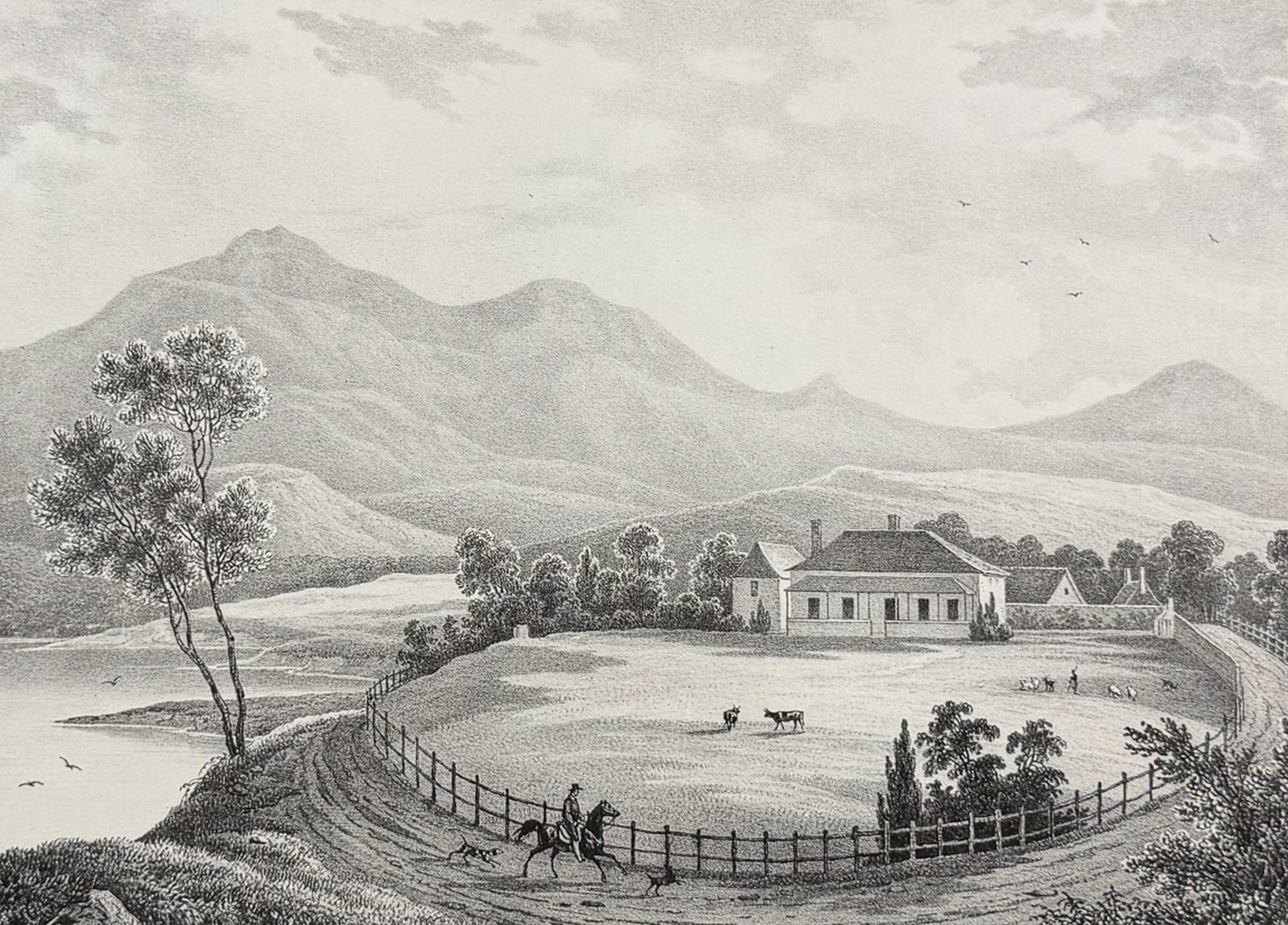Dumont D'Urville, Australia - Australia; Vue d'une Habitation A New-Town (Ile Van-Diemen): This folio lithograph is from Jules Sebastien Cesar Dumont D'Urville's Voyage de la Corvette l'Astrolabe ex?cut? par ordre du Roi pendant les ann?es 1826, 1827, 1828, 1829, sous le commandement de M.J