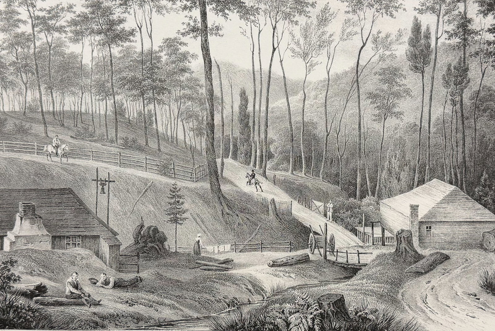 Dumont D'Urville, Australia - Australia; Moulin a Scie, dans les bois d'Hobart-Town (Van Diemen) (1 of 2)