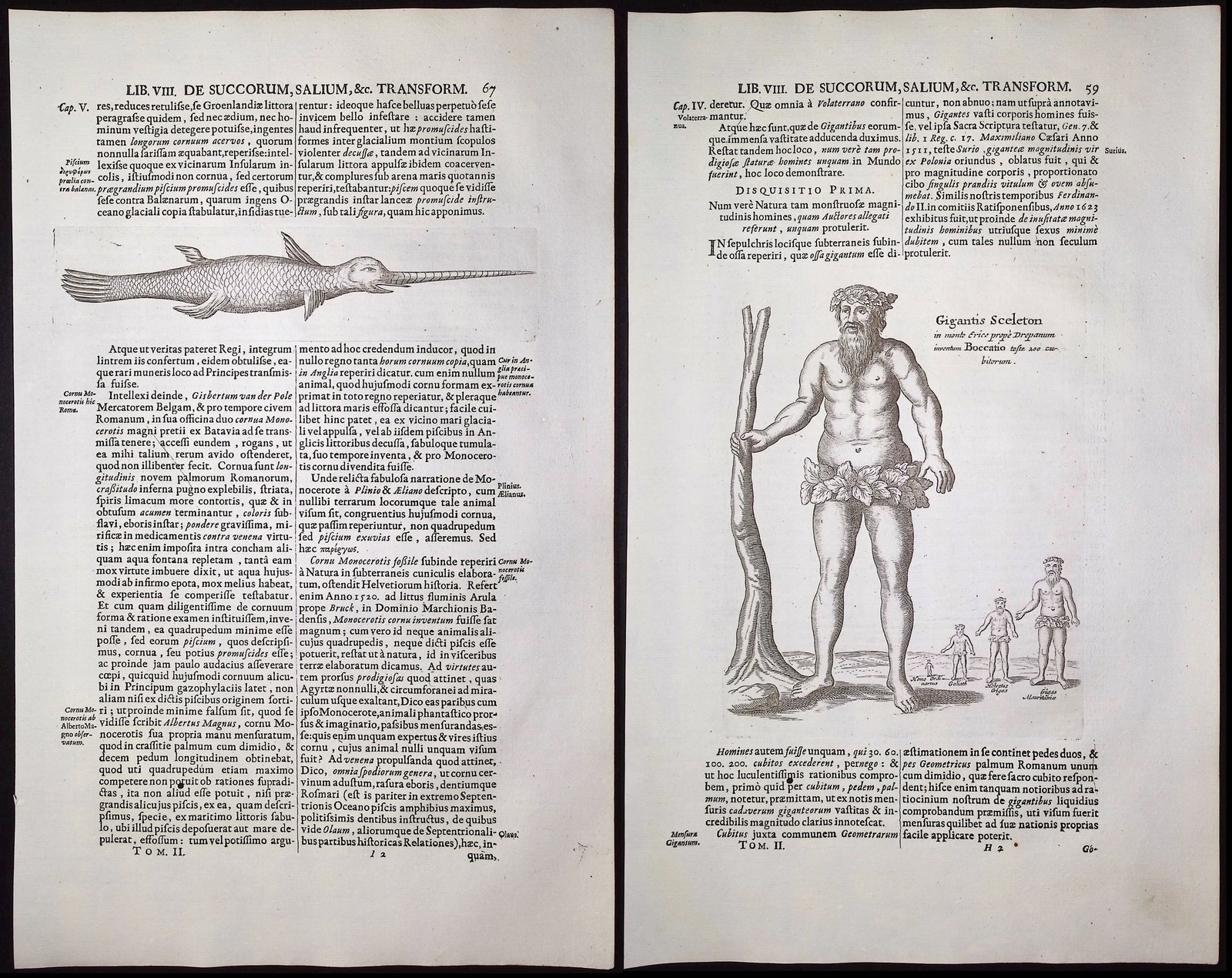 Kircher, pub. 1682 - Pair of Engravings of Narwhal Whale & Giant: This scientific engraving is Athanasius Kircher's d'Onder-Aardse Weereld in Haar Goddelijk Maaksel en wonderbare uitwerkselen aller Dingen... It was published in 1682 in Amsterdam by J. Janssonius van