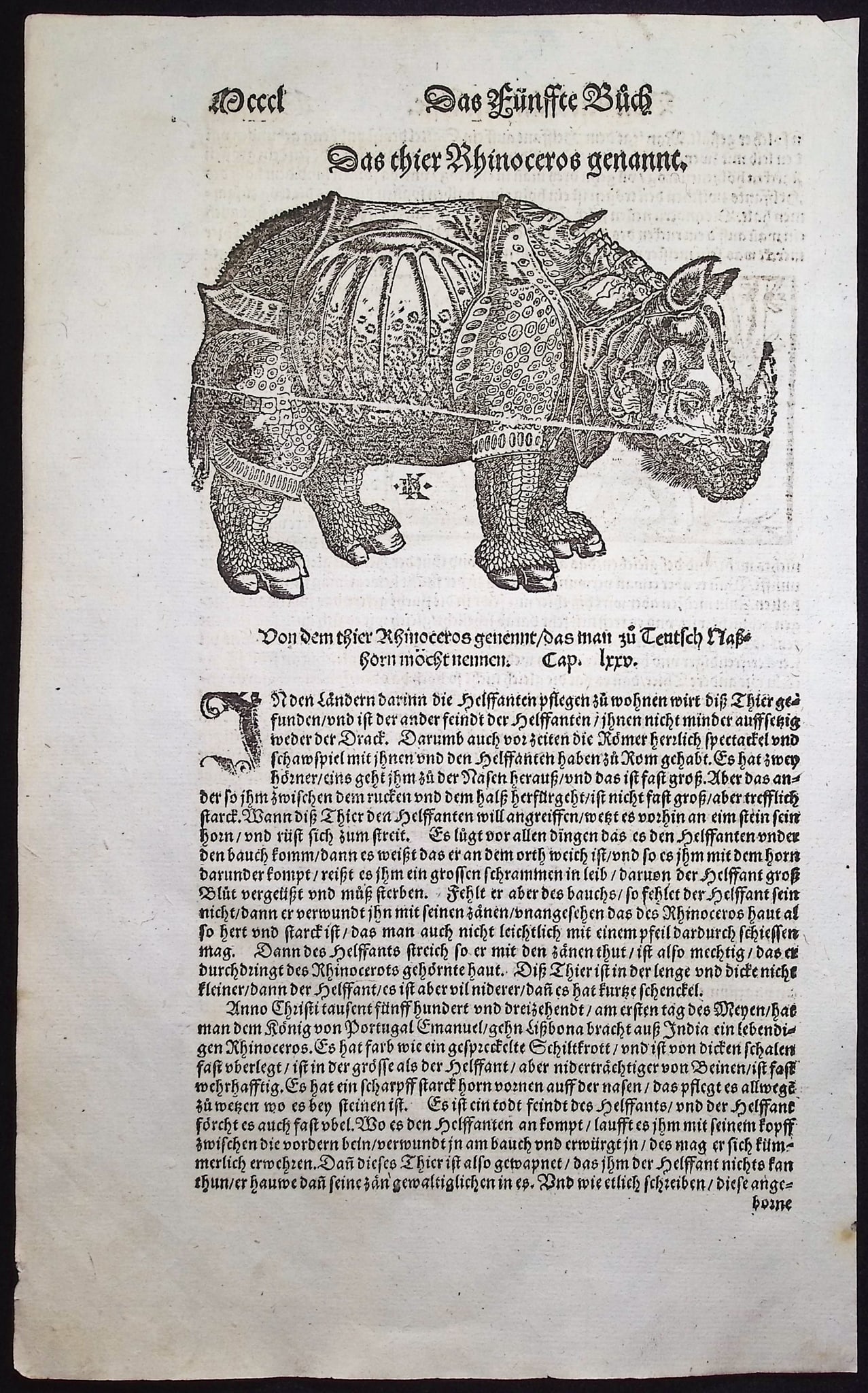 Munster, pub. 1578 - Rhinoceros after Albrecht Durer / Verso: Elephant: This very old woodcut is from Sebastian Munster's Cosmographia Universalis or Cosmographey: das ist Beschreibung aller Lander [...] The work was published in Basel in 1578 by Heinrich Petri. The work 