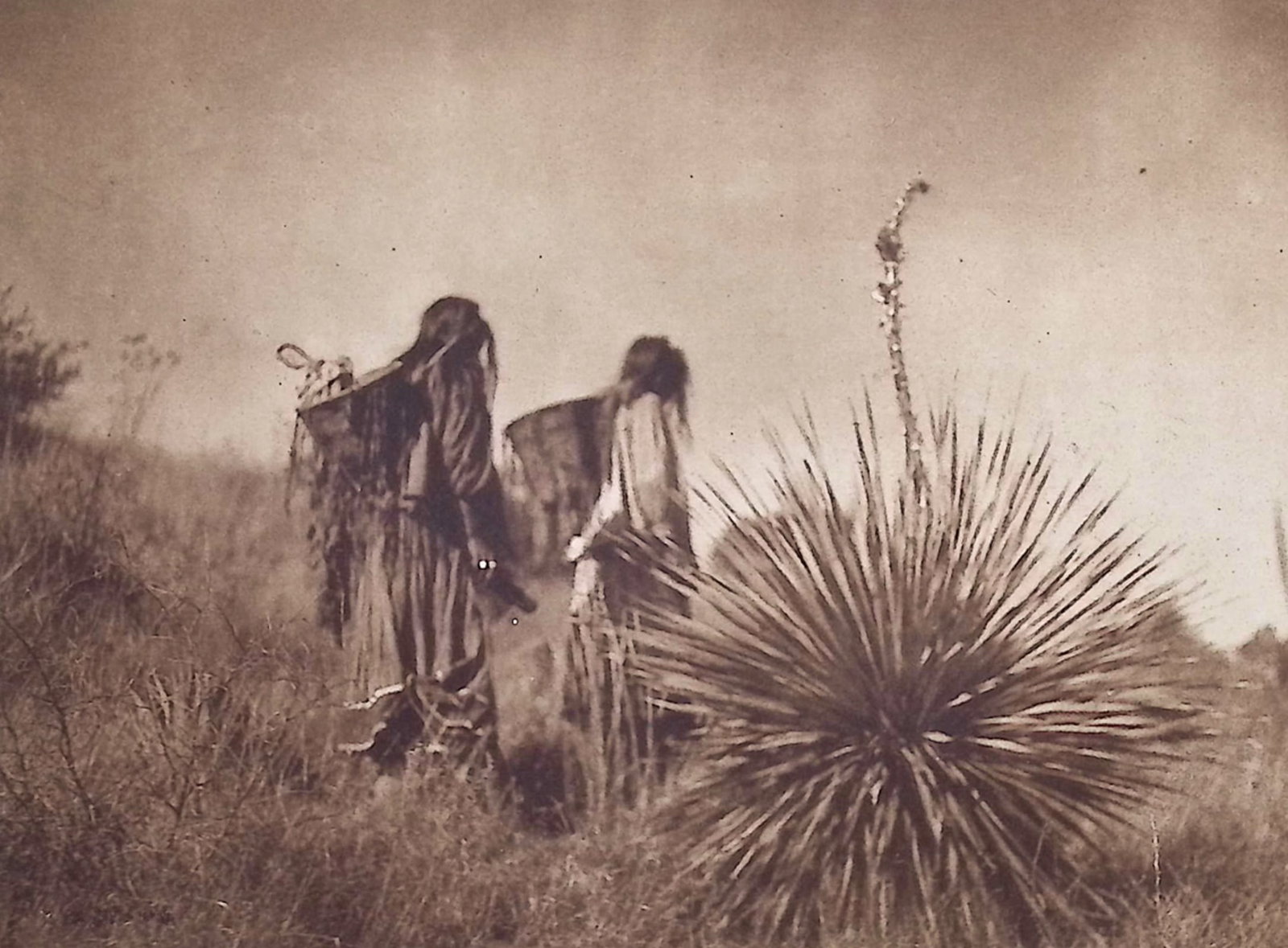 Edward Curtis - Mescal Harvest - Apache: This moving photogravure in quarto size is from Edward Curtis's The North American Indian being a Series of Volumes Picturing and Describing the Indians of the United States and Alaska. Edited by Fred