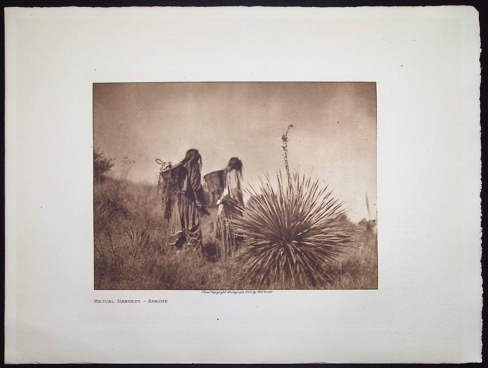 Edward Curtis - Mescal Harvest - Apache - 2