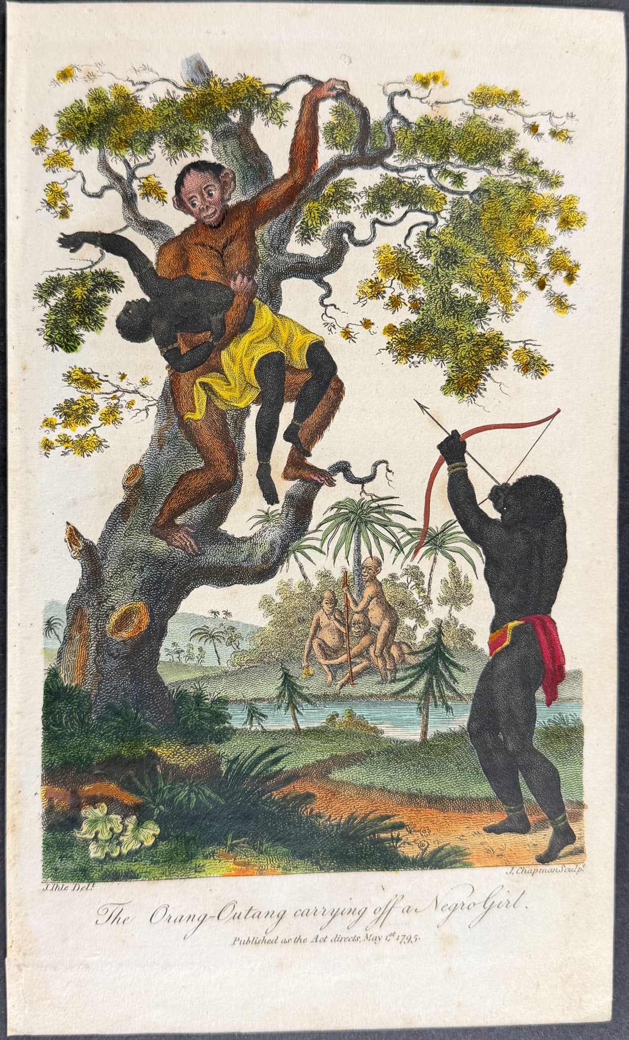 Linnaeus & Sibly - The Organ-Outang carrying off a Negro Girl: This scarce first edition engraving is from Sir Charles Linnaeus & Ebenezer Sibley's "A Genuine and Universal System of Natural History... or Magazine of Natural History". The work was published in Lo