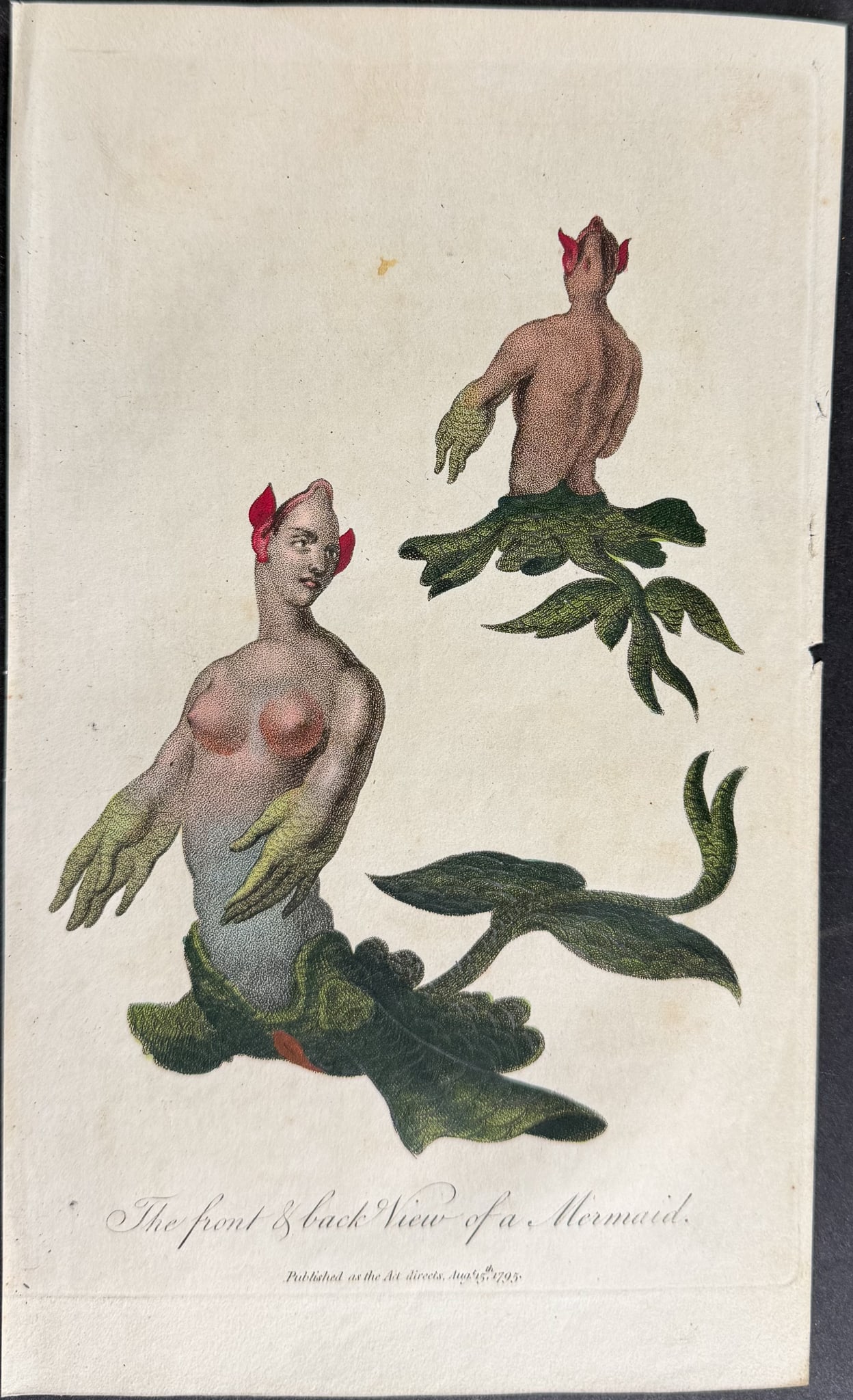 Linnaeus & Sibly - The Front & Back View of a Mermaid: This scarce first edition engraving is from Sir Charles Linnaeus & Ebenezer Sibley's "A Genuine and Universal System of Natural History... or Magazine of Natural History". The work was published in Lo