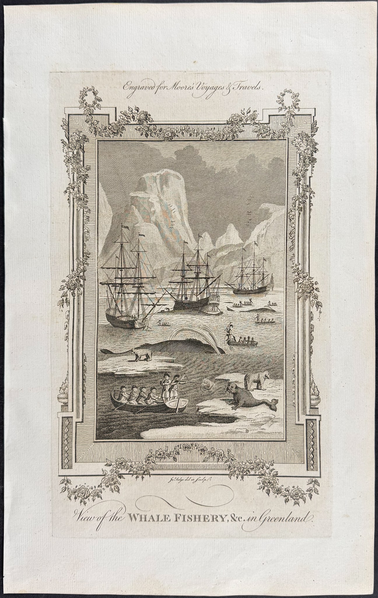 Moore & Conder - View of the Whale Fishery, &c in Greenland: This engraving is from John Hamilton Moore's A New and Complete Collection of Voyages and Travels... comprehending an extensive system of Geography, describing, in the most accurate manner, every