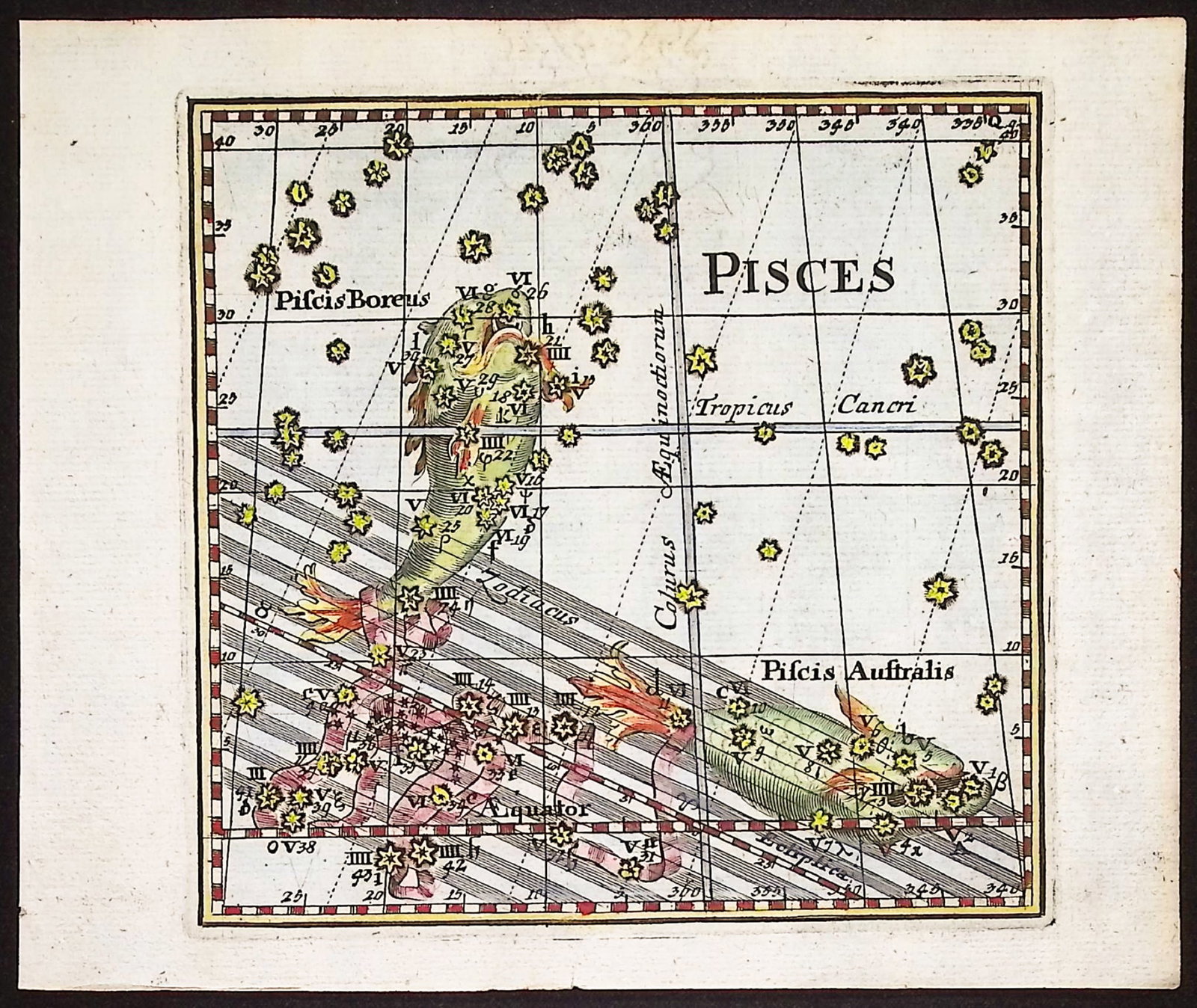 Thomas - Constellation or Celestial Chart of Pisces (Fish): This celestial engraving is from Corbinian Thomas's Mercurii philosophici firmamentum Firmianum descriptionem et usum globi artificialis coelestis. The work was published in Augsburg in 1731 by Merz u