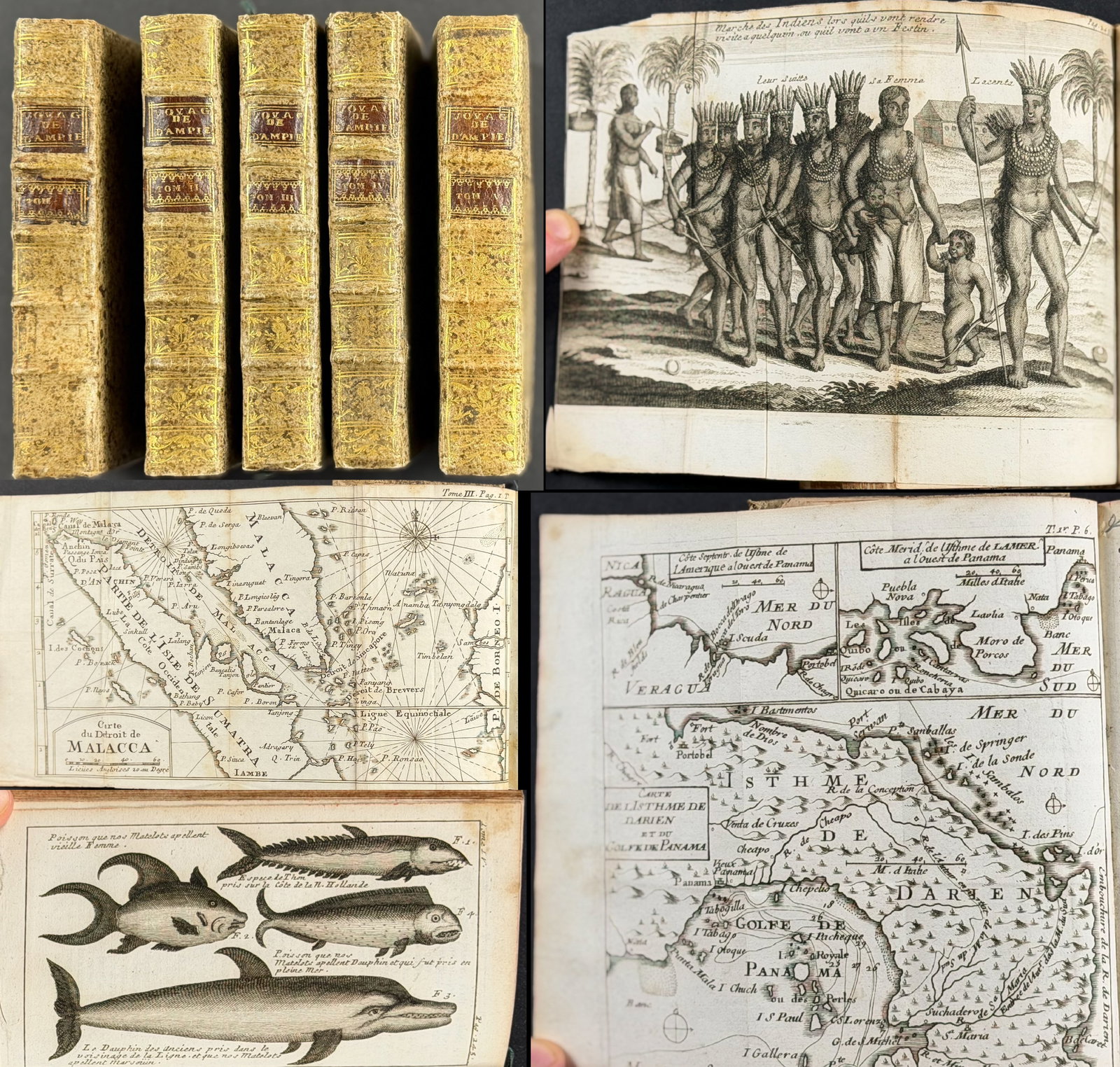 Dampier's Nouveau Voyage autor du Monde - 5 Volumes with 49 Engravings: These five historic volumes are William (Guillaume) Dampier's Nouveau voyage autour du monde... or A New Voyage Round the World... The work was published in Rouen, France by Eustache Herauit in 1715. 