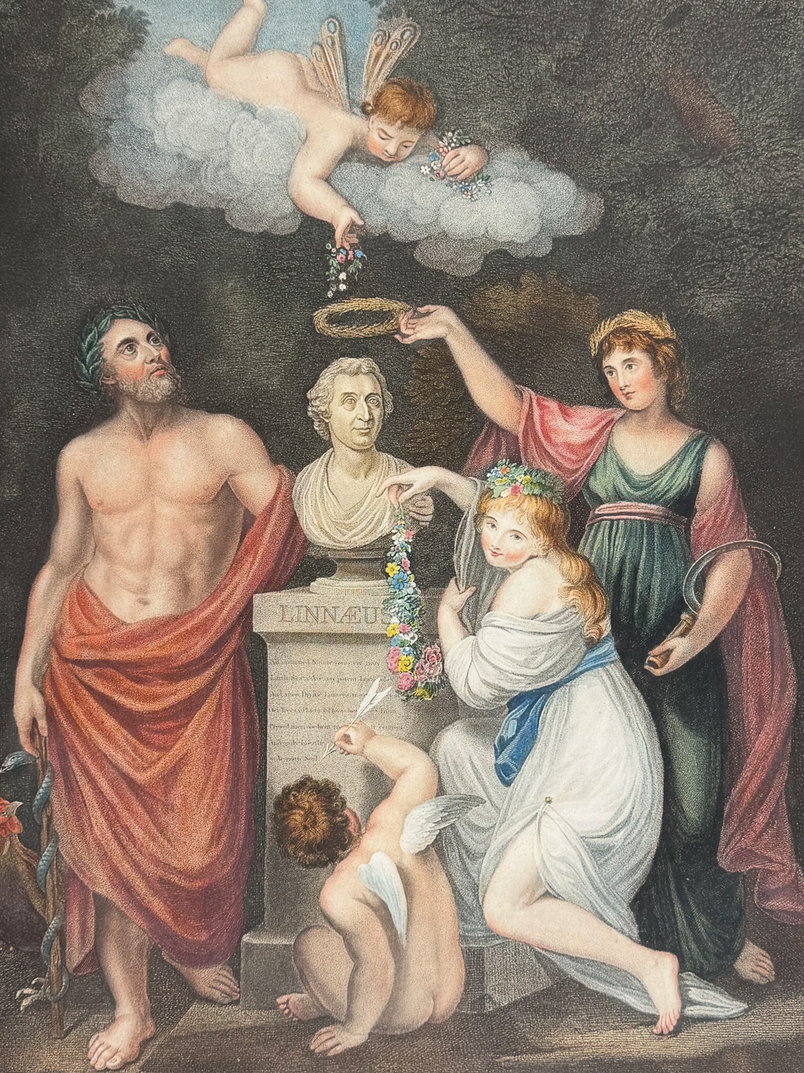 Thornton, Folio - Asculapius, Flora, Ceres and Cupid honouring the Bust of Linnaeus: This dramatic large folio botanical engraving is from Dr. Robert John Thornton?s work New Illustration of the Sexual System of Carolus Von Linnaeus...and the Temple of Flora, or Garden of Nature. This