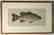 John Langley Howard, Scientific Illustration - 2