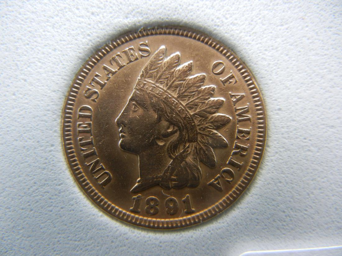 1891 Indian Head Cent. Full Liberty (1 of 4)