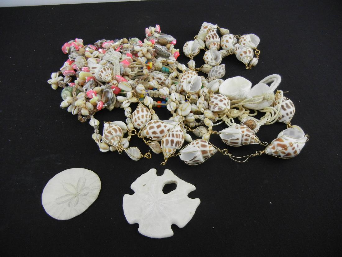 10 Seashell Necklaces, 2 Sand dollars: 10 Seashell Necklaces, 2 Sand dollars
