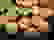 item-70515567=4