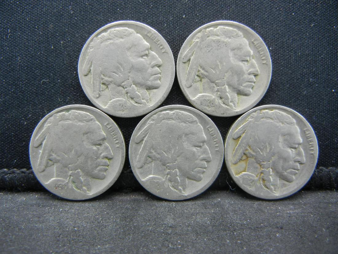 5 Buffalo Nickels (1 of 2)