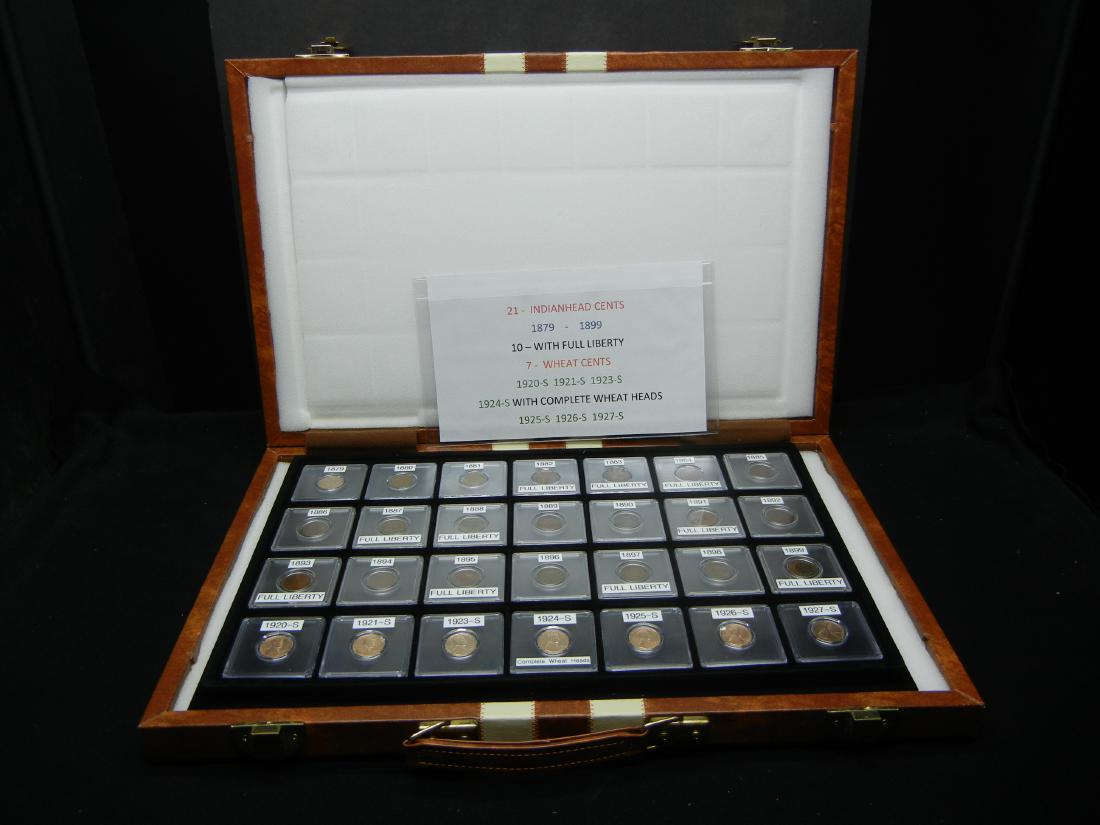 21-Indian Head Cents (1879-1899) 10 with Full Liberty, (1 of 9)