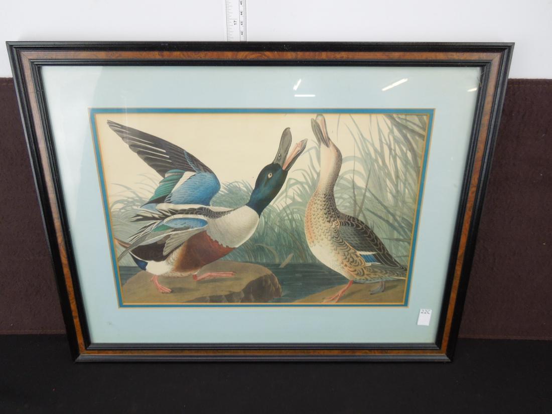 Duck Print Wall Hanging  22x17 (1 of 2)