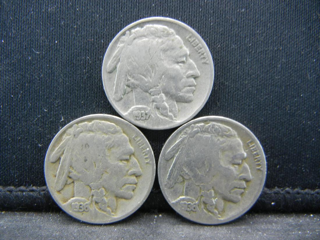 3 Buffalo Nickels (1 of 2)