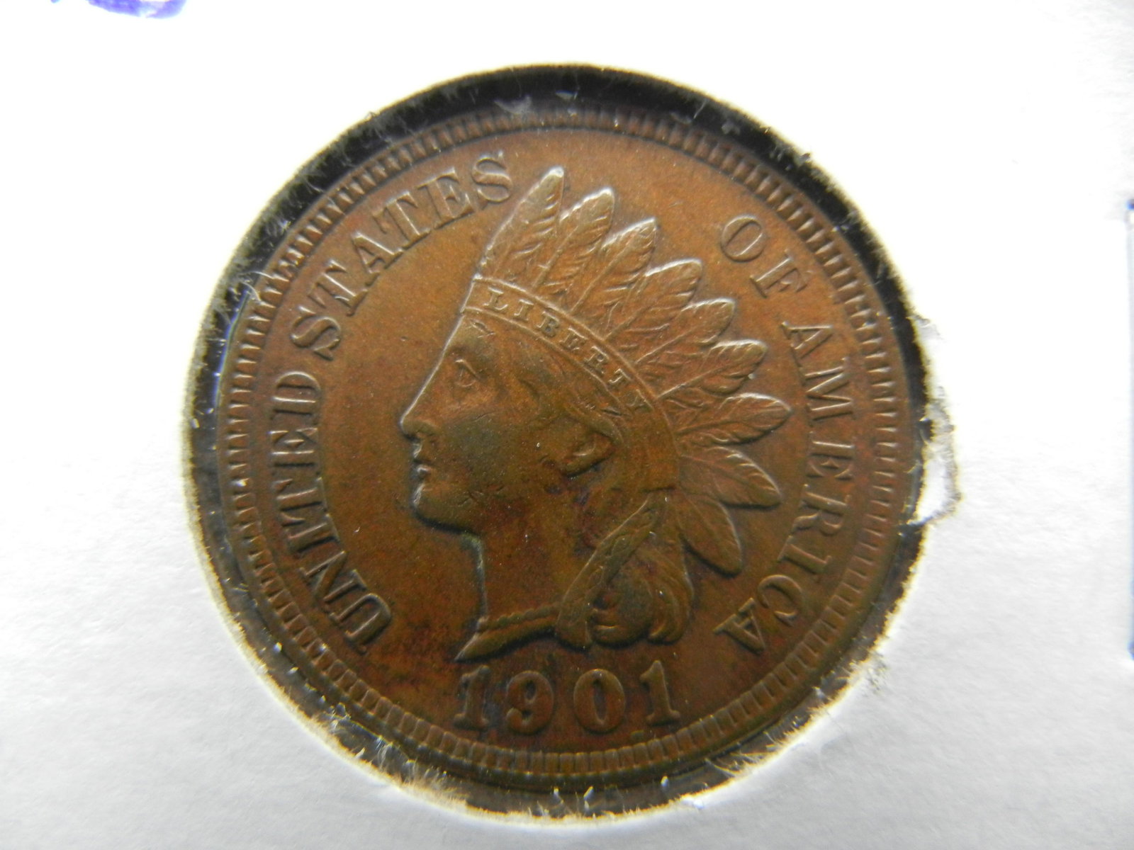 1901 Indian Head Cent (1 of 3)