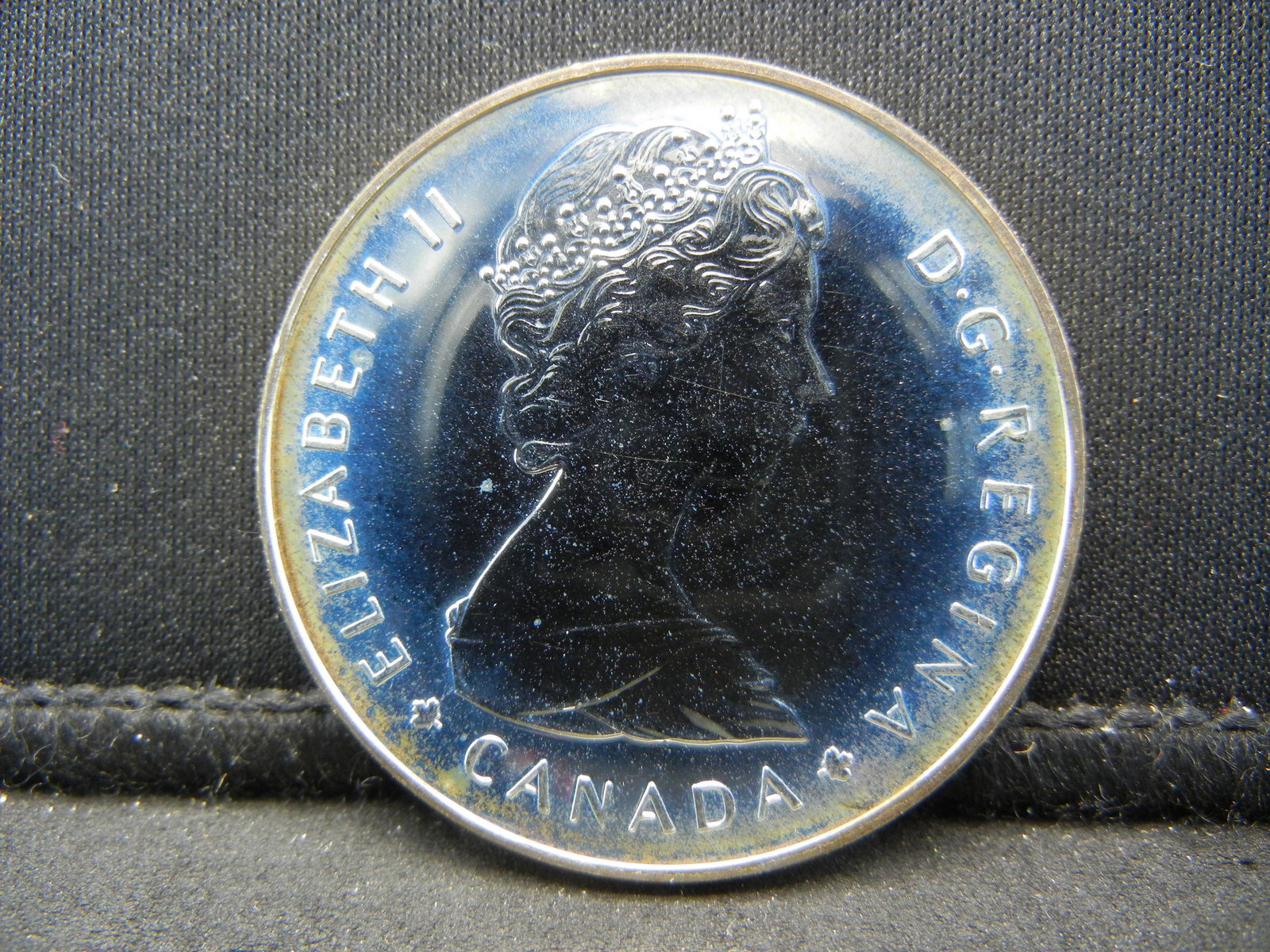 1985 Canadian Moose Silver Dollar in Case: 1985 Canadian Moose Silver Dollar in Case