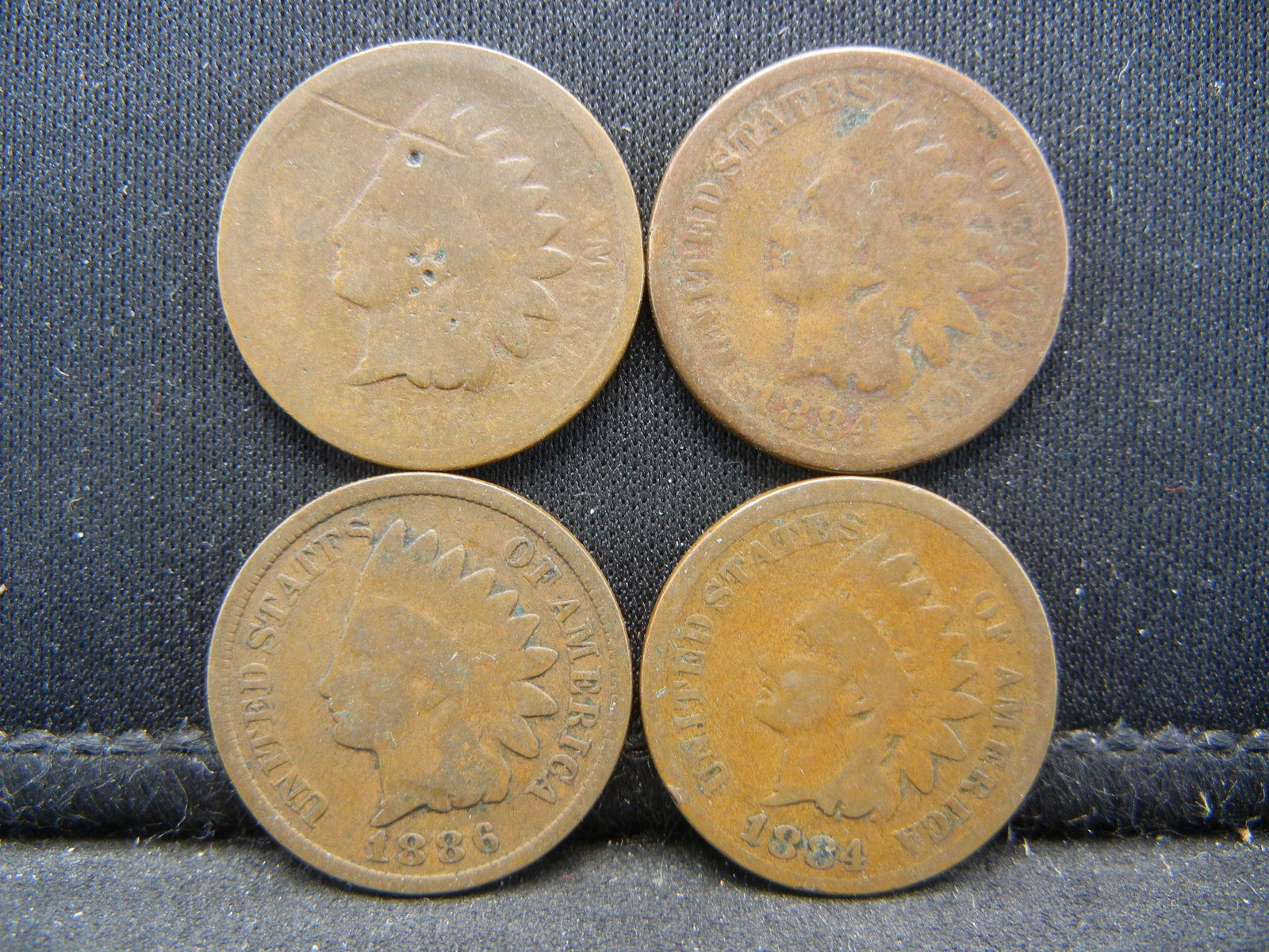 (2) 1884 and (2) 1886 Indian Head Cents ave Circ (1 of 2)