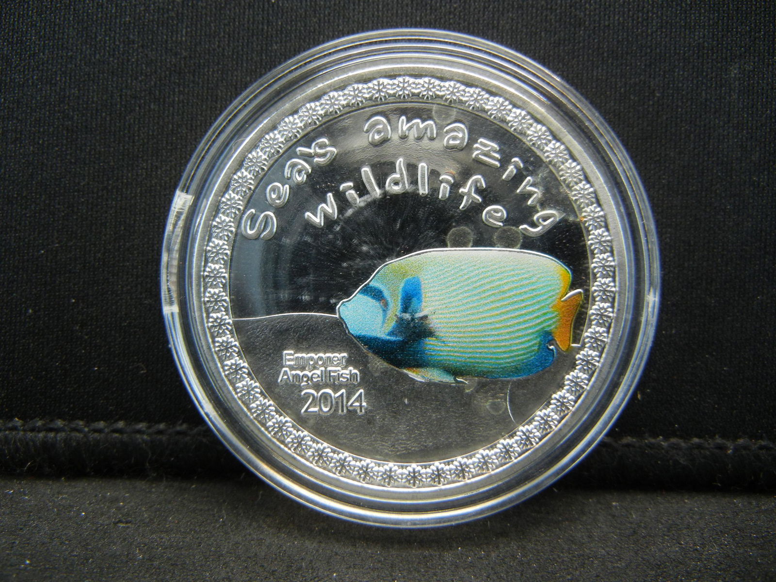 (ANGEL FISH/1 OUNCE), Encapsulated For Future (1 of 2)
