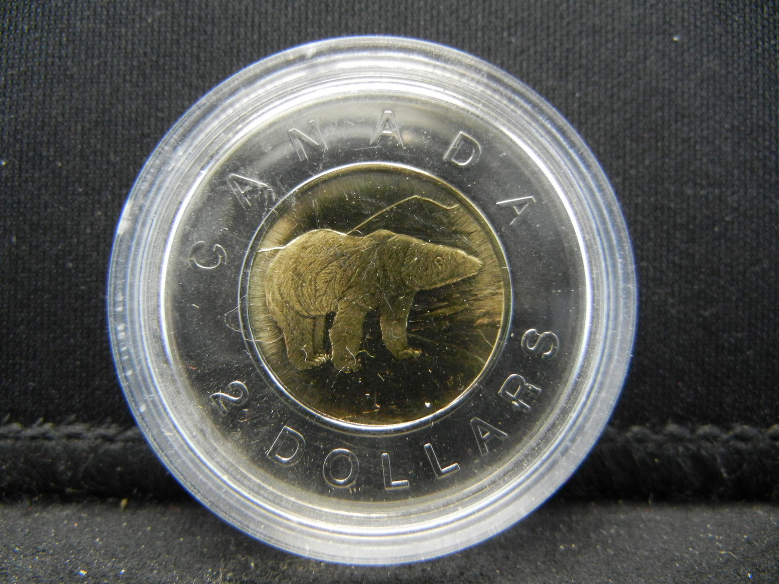 1998 Canada $2 Polar Bear. Gem Proof in capsule.: 1998 Canada $2 Polar Bear. Gem Proof in capsule.