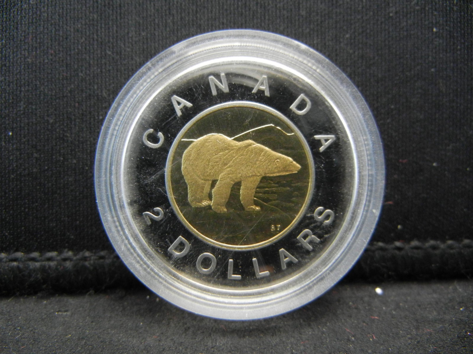 1996 Canada $2 Polar Bear. Gem Proof in capsule.: 1996 Canada $2 Polar Bear. Gem Proof in capsule.