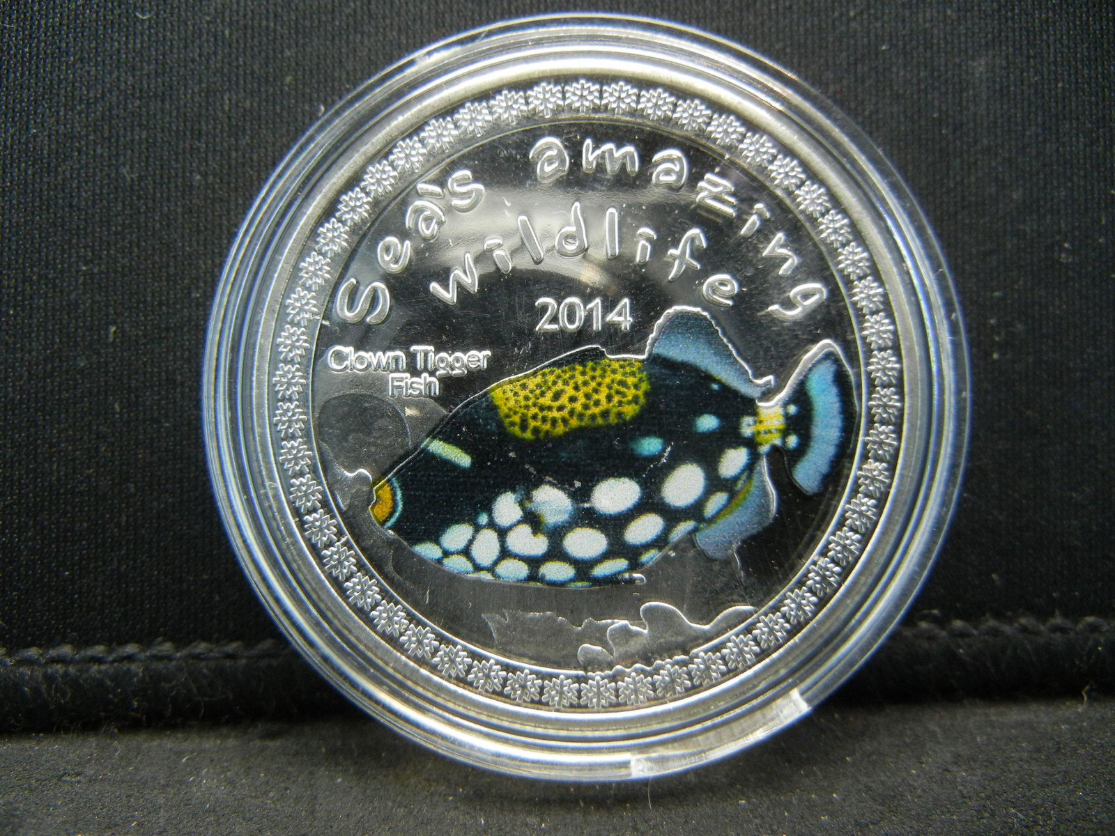 (CLOWN TIGER FISH/1 OUNCE) Novelty, NEW (1 of 2)