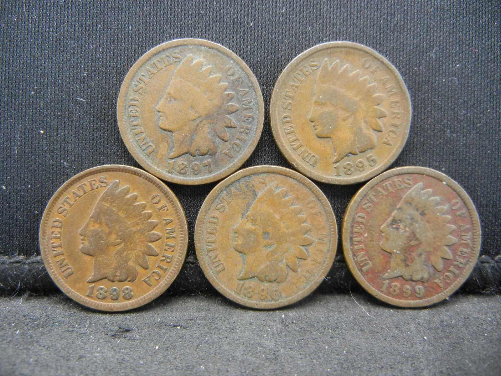 1895 1896 1897 1898 1899 Indian Head Cents. (1 of 2)