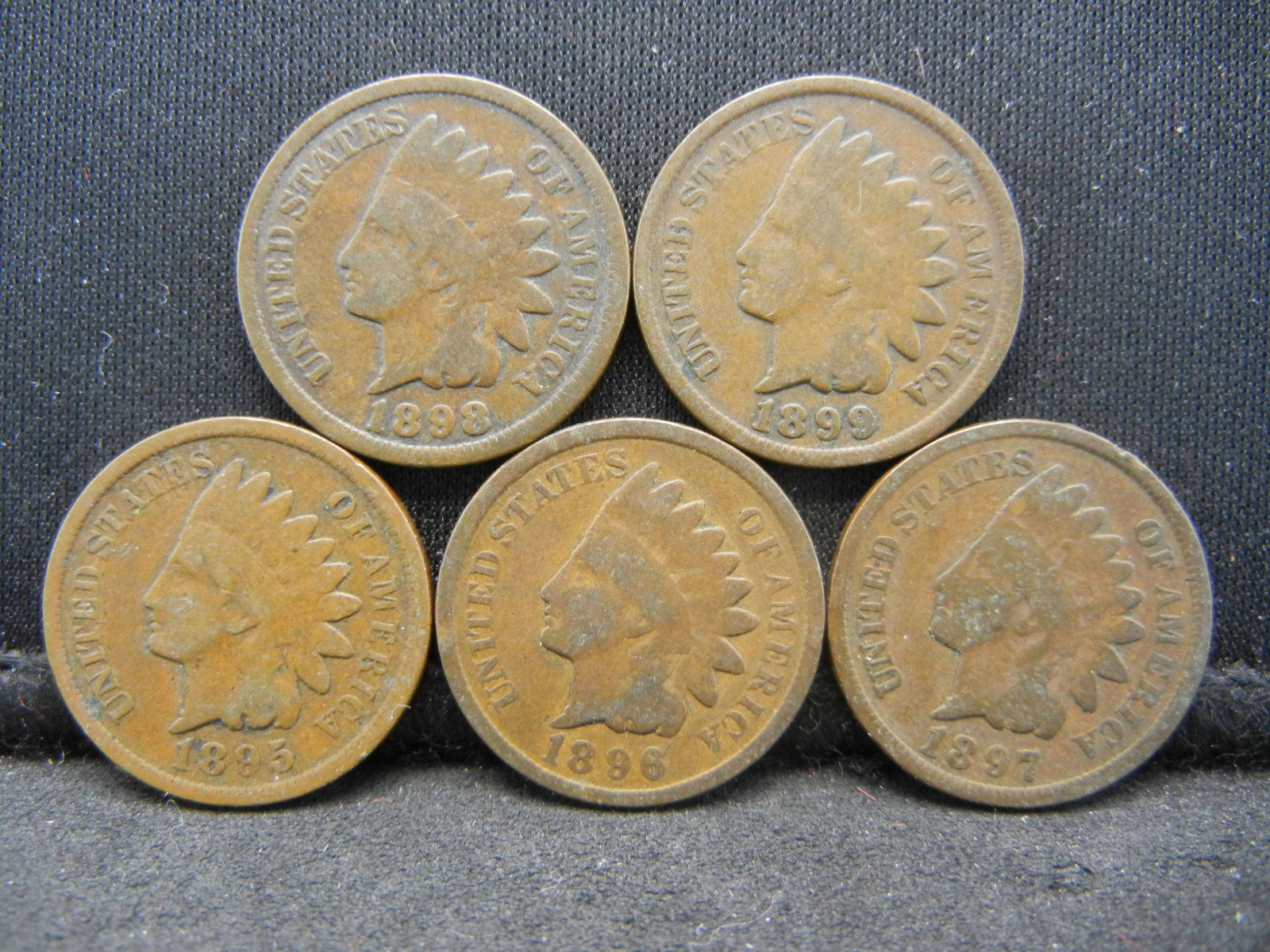 1895 1896 1897 1898 1899 Indian Head Cents. (1 of 2)