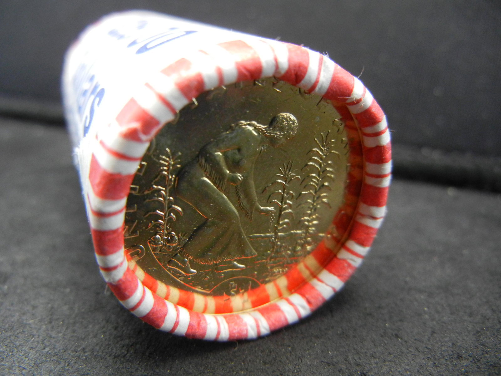 Roll of (25) 2009 Native American Dollars (1 of 3)