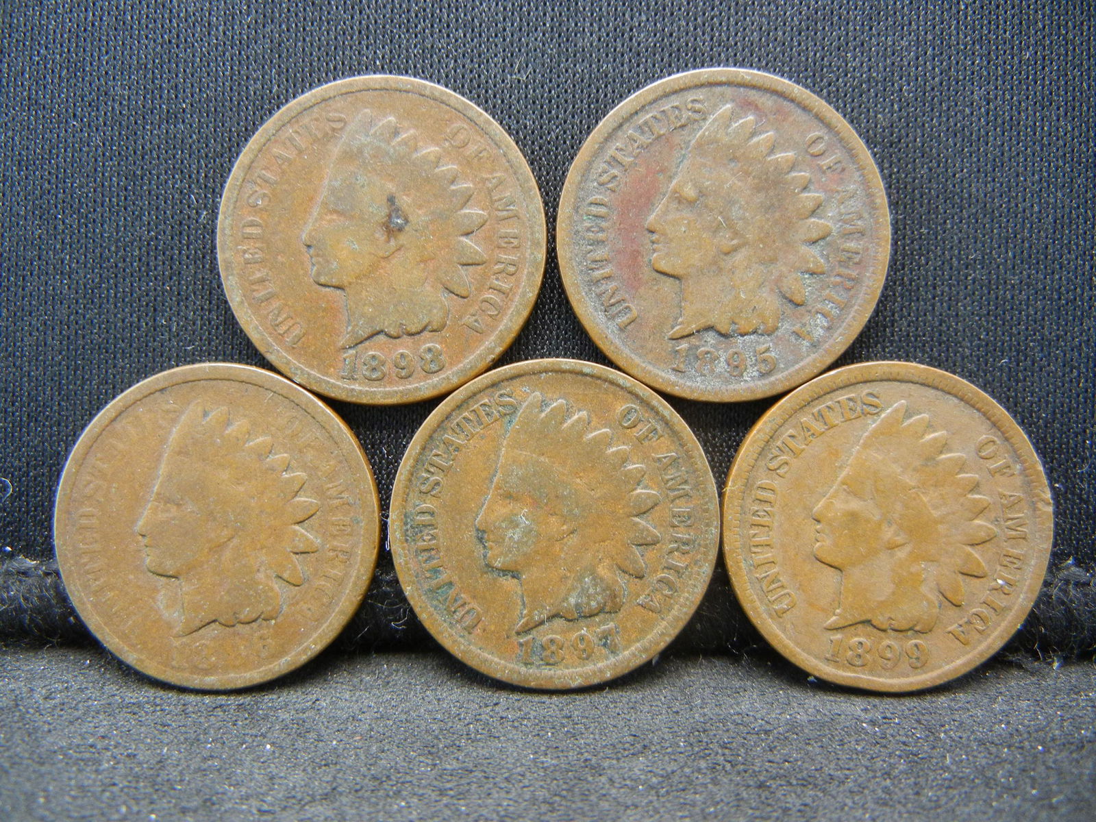 1895 1896 1897 1898 1899 Indian Head Cents. (1 of 2)