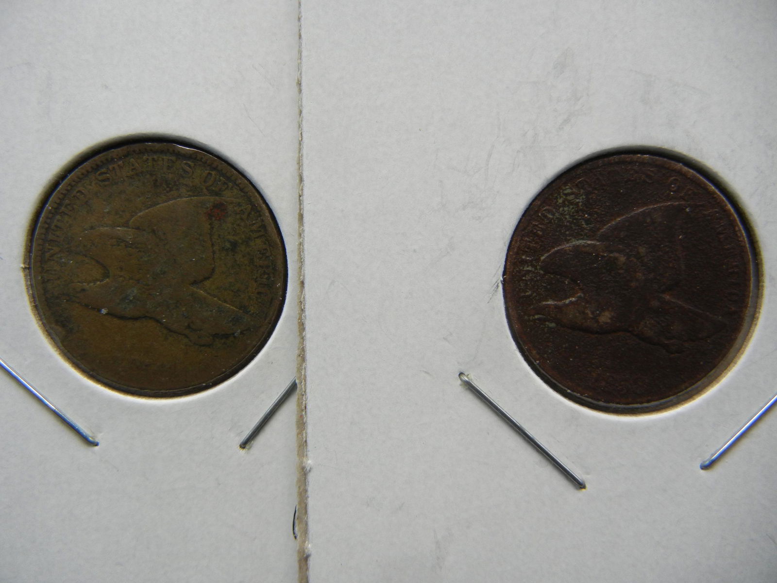 2-1858 Flying Eagle cents (1 of 3)