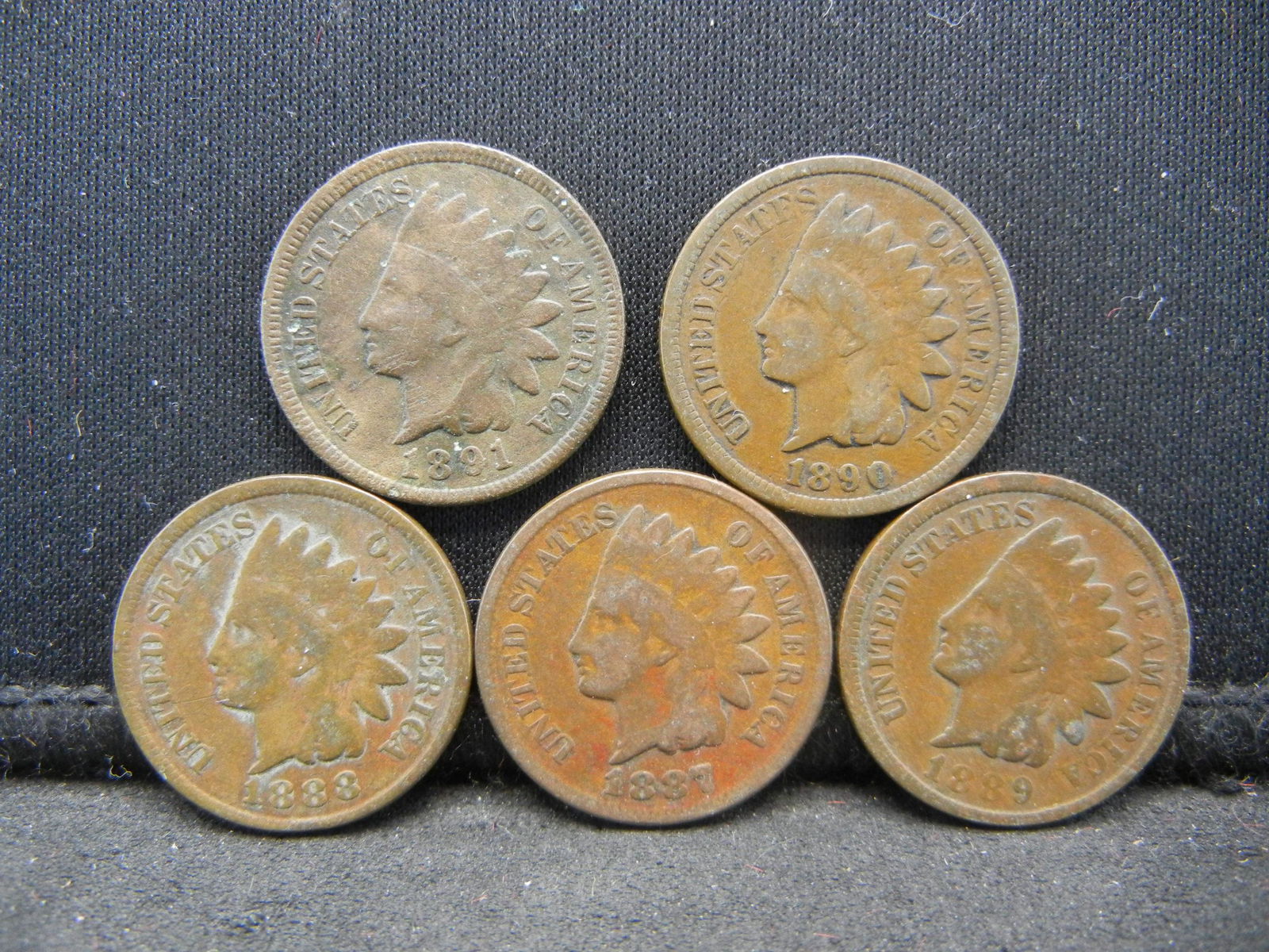 1887 1888 1889 1890 1891 Indian Head Cents. (1 of 2)