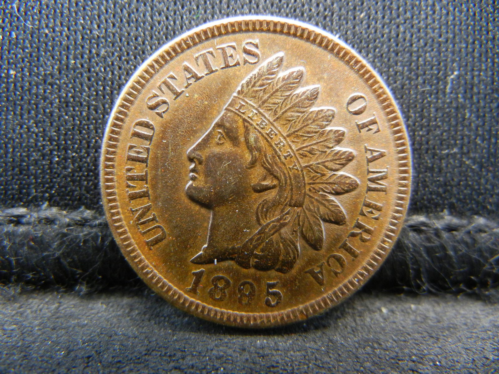 1895 Indian Cent BU (1 of 2)