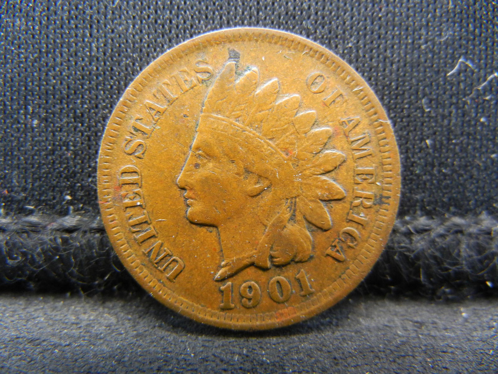 1901 Indian Head Cents (1 of 2)