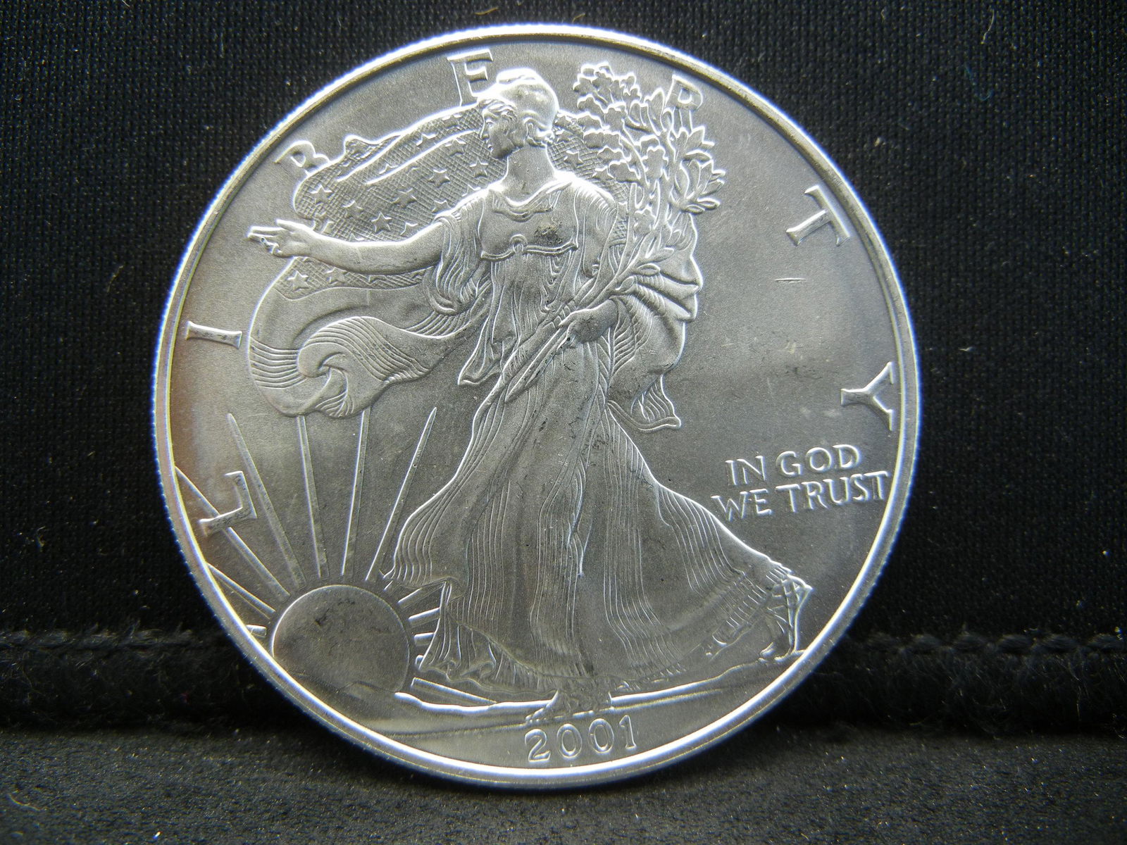 2001 American Silver Eagle Gold Toning Reverse (1 of 2)