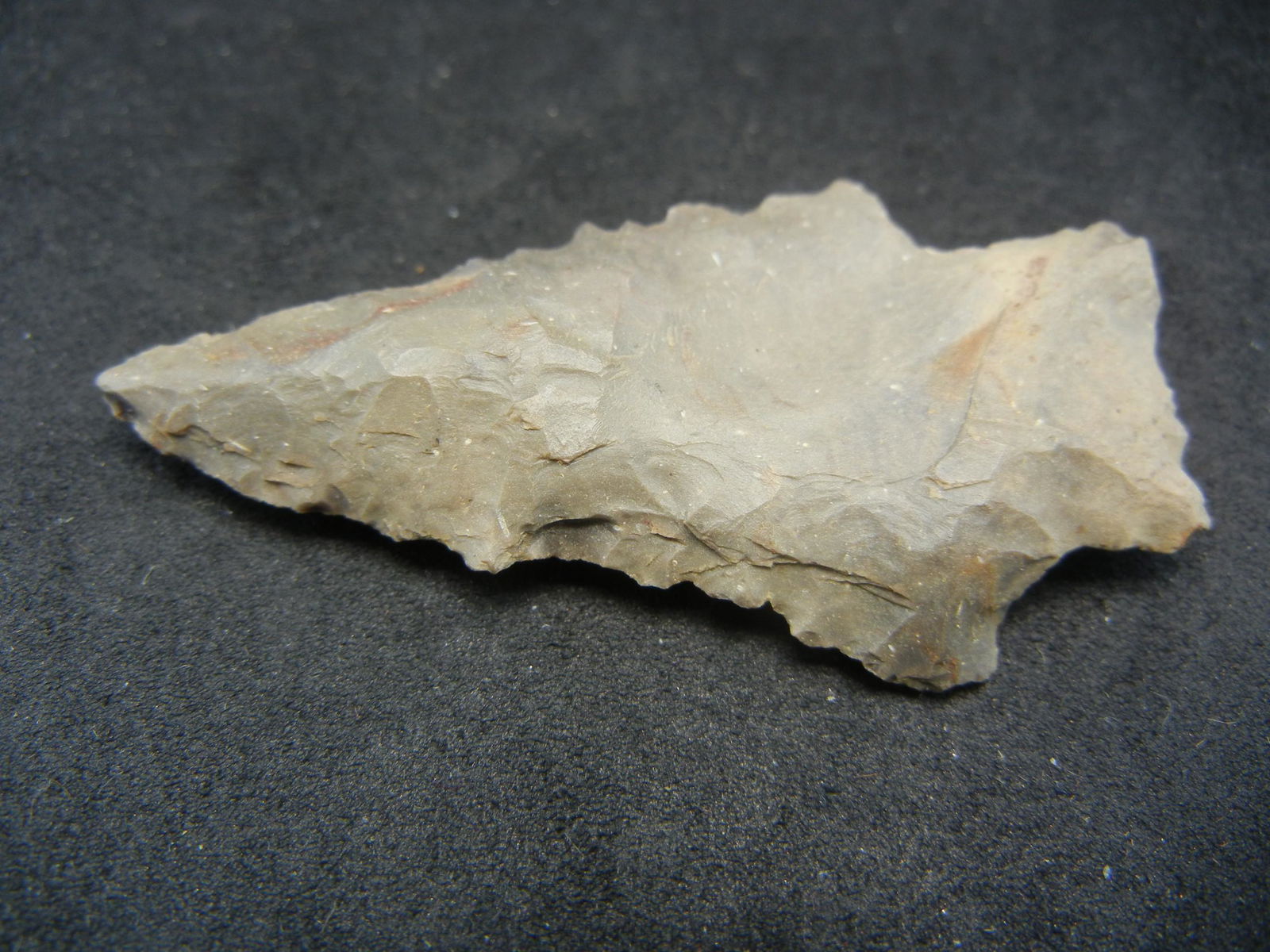 2 inch Kirk Serrated point.  Approximately 9000 years (1 of 3)