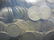 1,000 Count United States Lincoln Wheat Penny Cents - 3