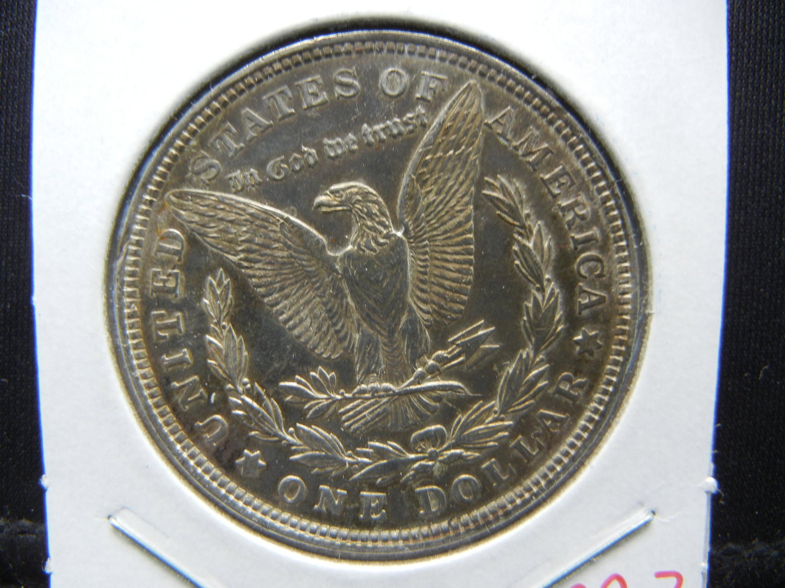 1921 Toned Morgan Dollar: 1921 Toned Morgan Dollar