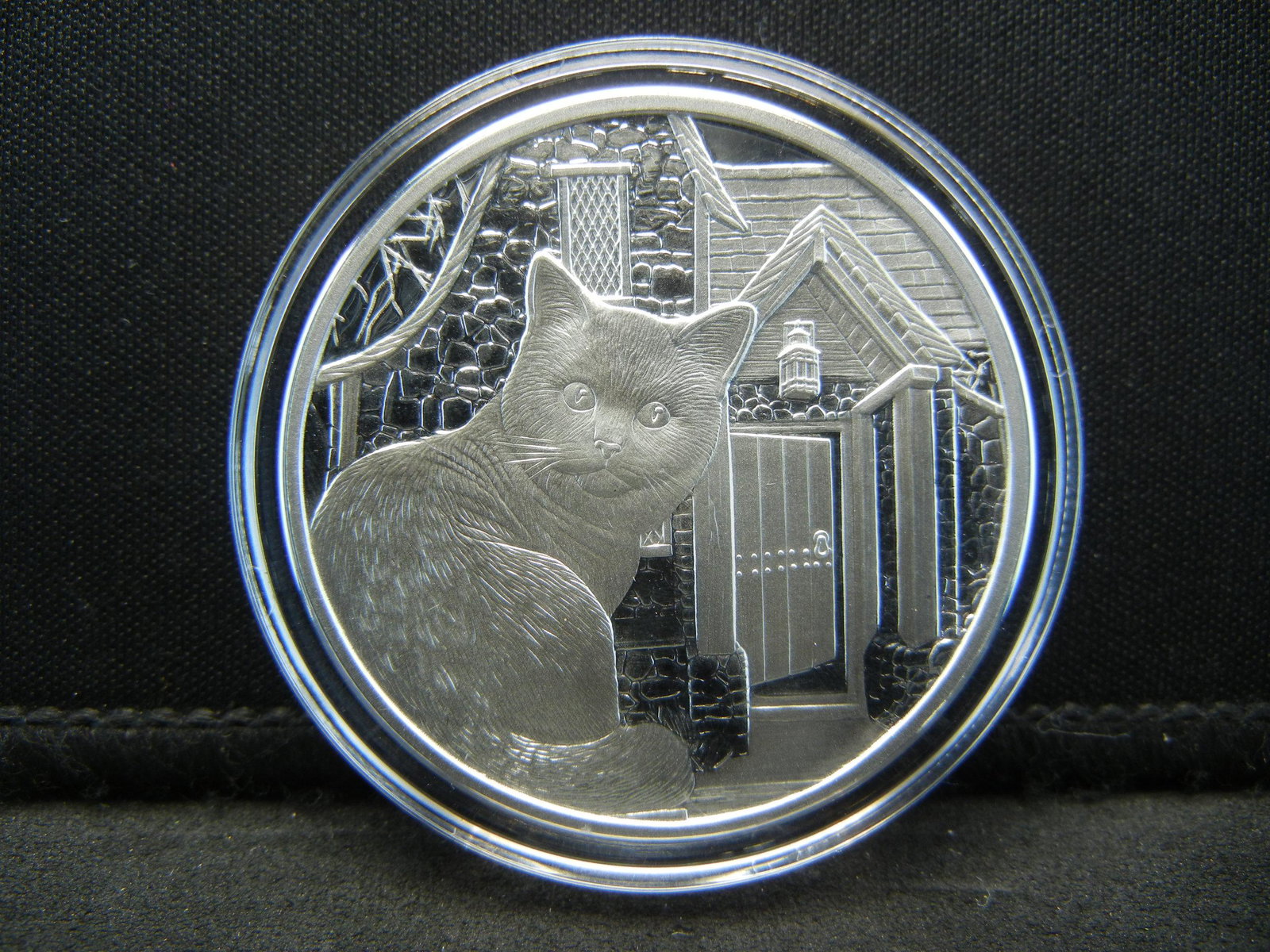 1 Ounce Silver Round Lisa Parker Series Colorized 1 of: 1 Ounce Silver Round Lisa Parker Series 1 of 750