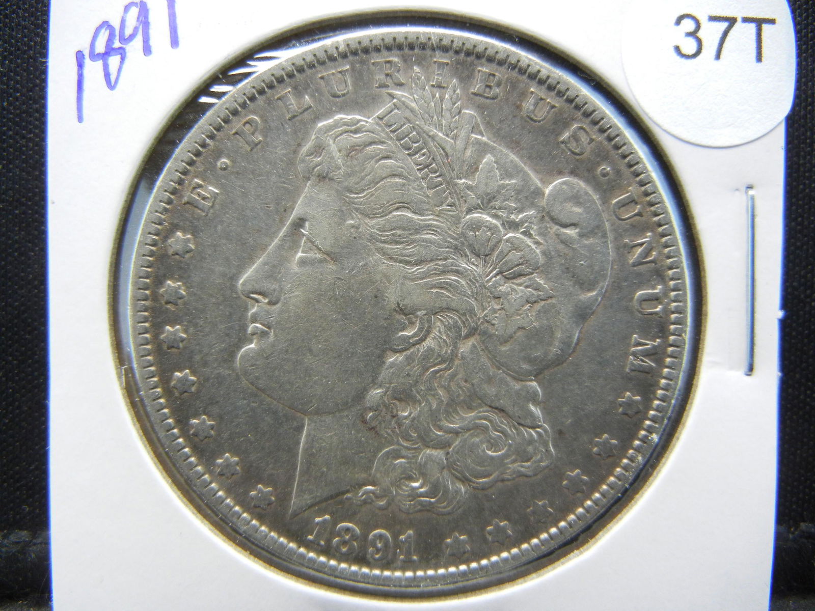 1891 Morgan Dollar (1 of 3)