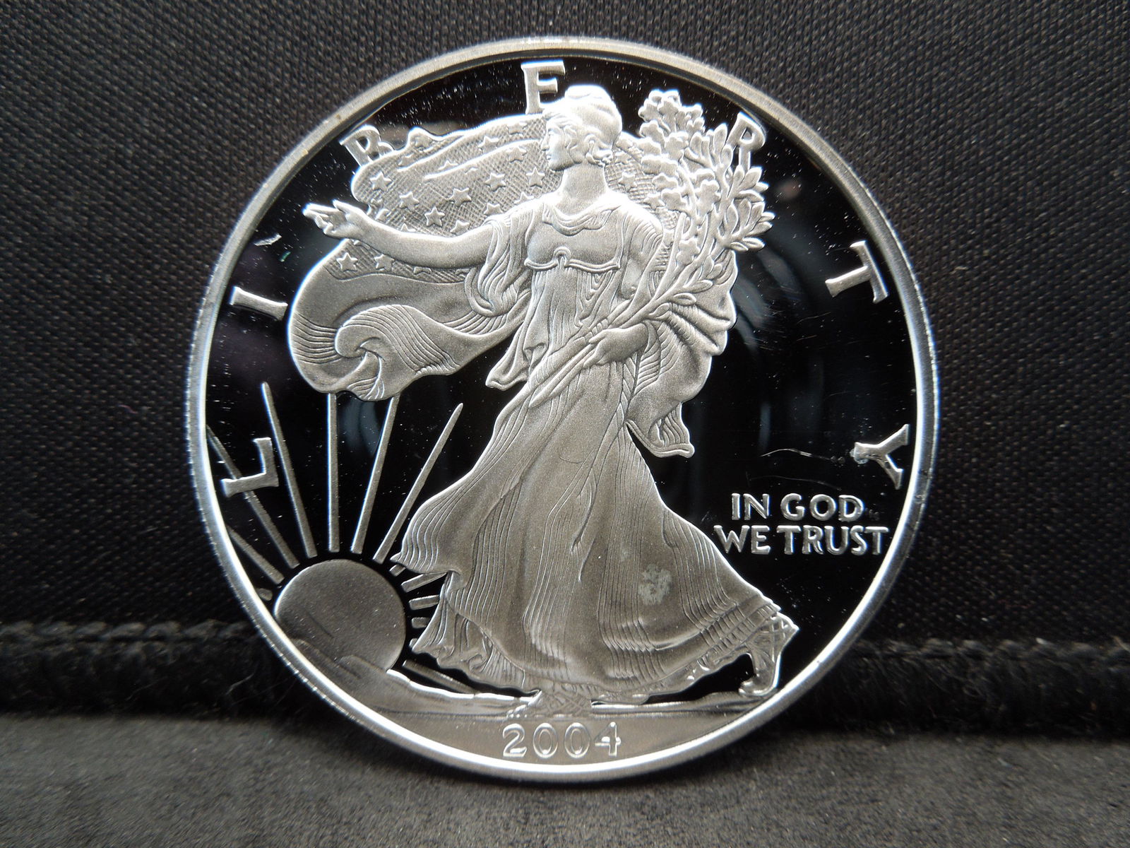 2004 Proof Silver Eagle (1 of 2)